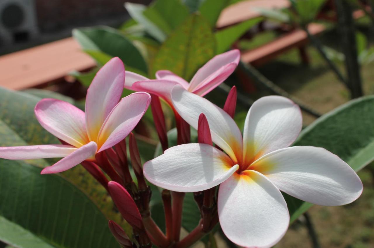 北谷 Vacation House Malapua Chatan Eksteriør bilde